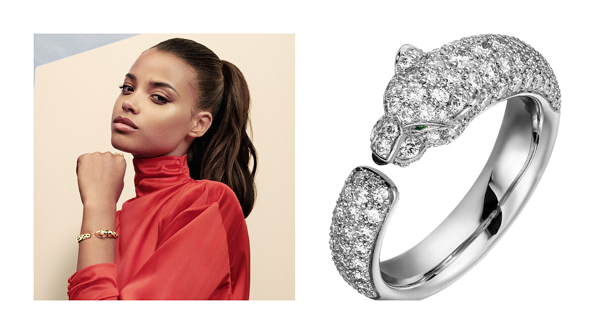 Cartier 卡地亞2019全新 La Panthère 美洲豹價格超親民，日常穿戴很OK！