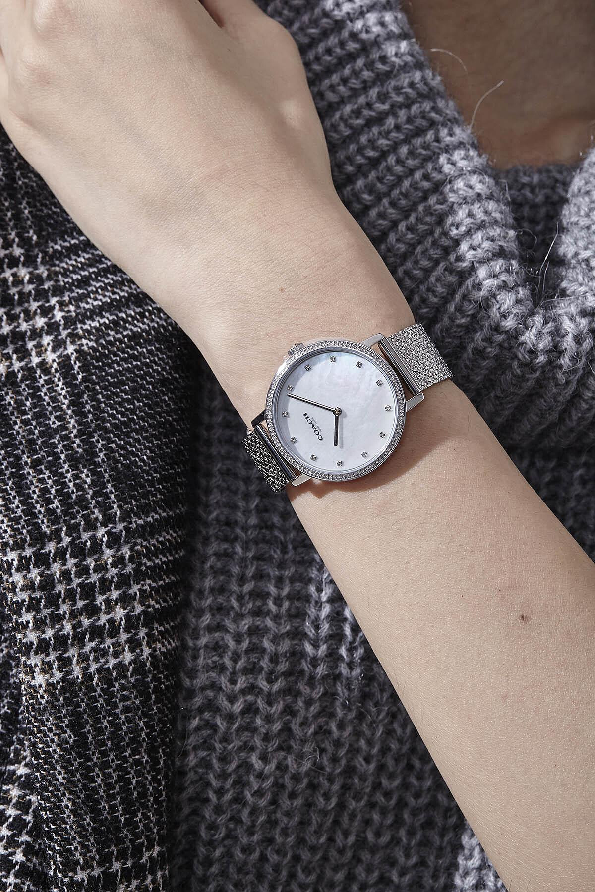 Audrey系列銀色腕錶，NT10,800。