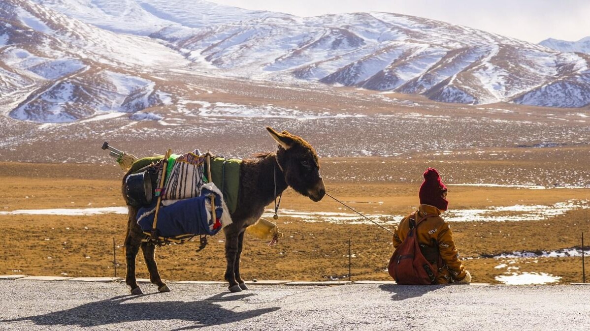 【鍾文音專欄】這世界沒有永恆，仍然相信愛情，難相信的只是際遇。