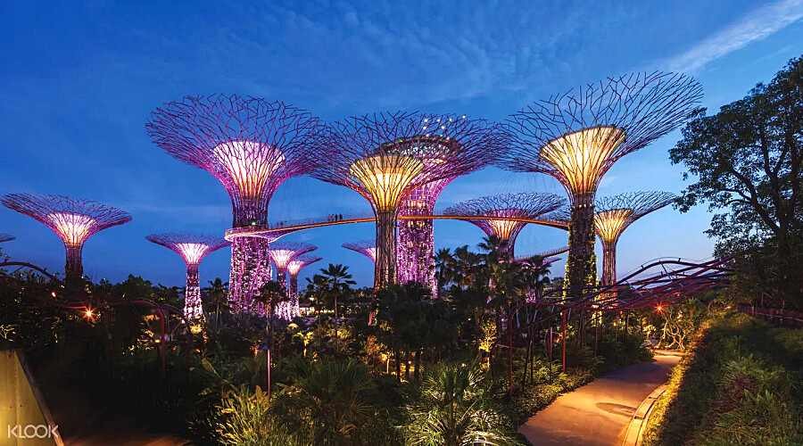 濱海灣超級樹