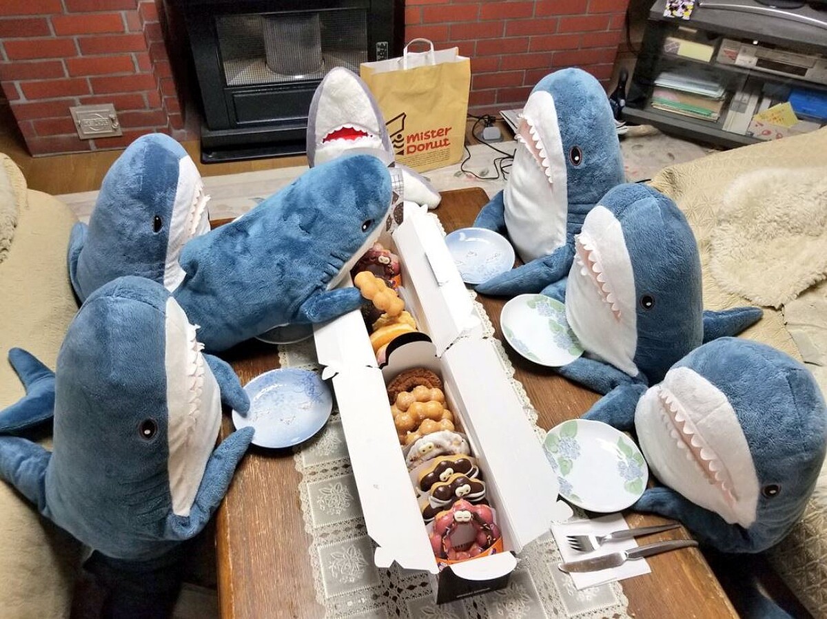 鯊鯊家族的可愛模樣，你現在也能擁有！Photo／Twitter@ikeasame