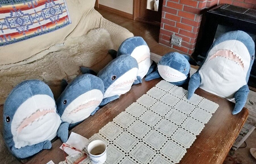 Photo／Twitter@ikeasame