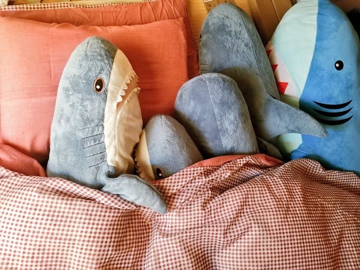 Photo／Twitter@ikeasame