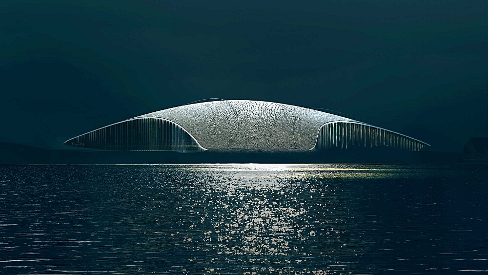 凝結鯨魚拍打海面的震撼瞬間！挪威在北極圈內打造最美賞鯨景點「The Whale」