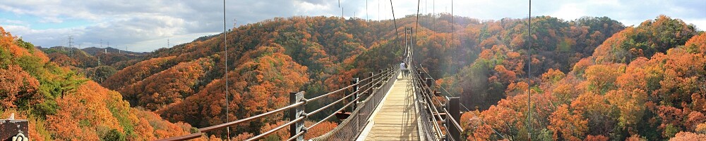 來源/星田園地官網