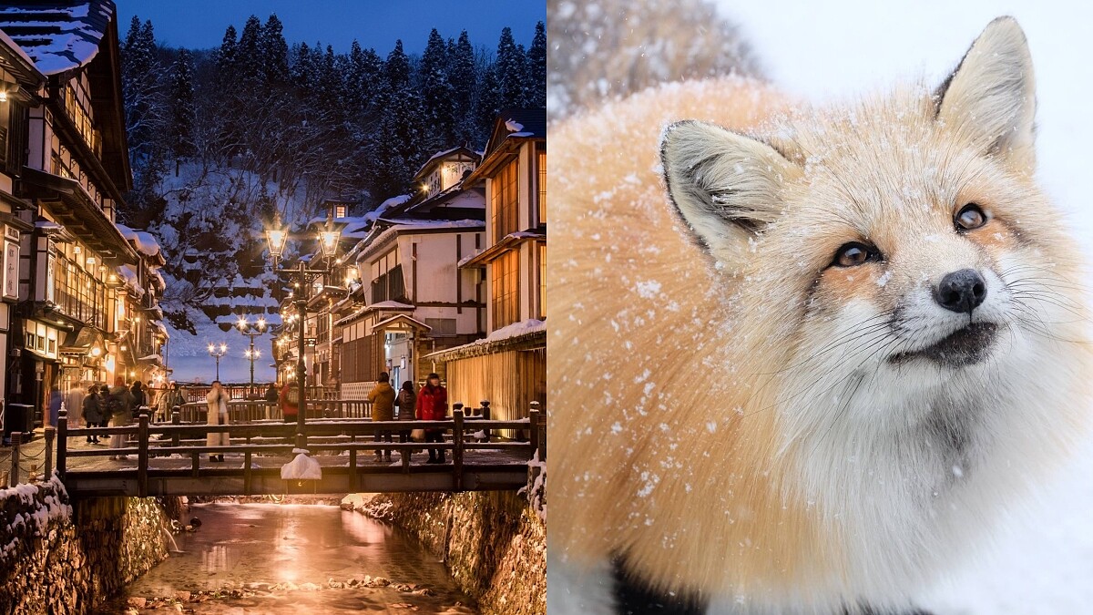 【玩咖懶人包】特搜5大日本、韓國賞雪美景！《神隱少女》電影場景、破百隻狐狸村萌翻