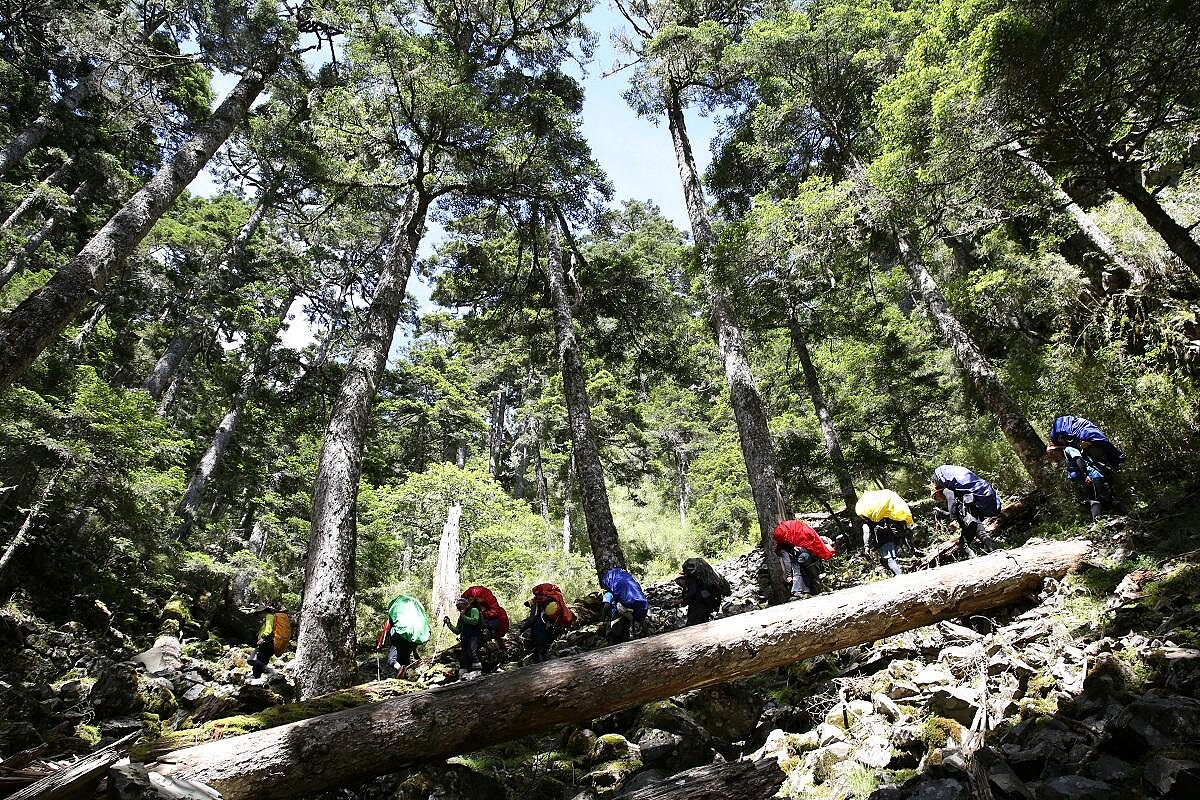 《黑熊來了》大麥影像傳播工作室提供