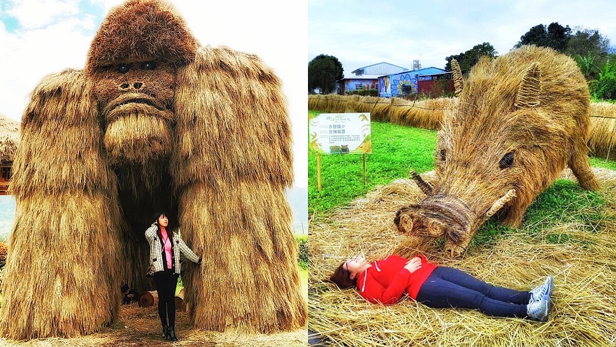 2層樓高大猩猩霸氣現身花蓮！第一屆「稻草藝術季」打造17隻大型動物，山豬、松鼠超好拍