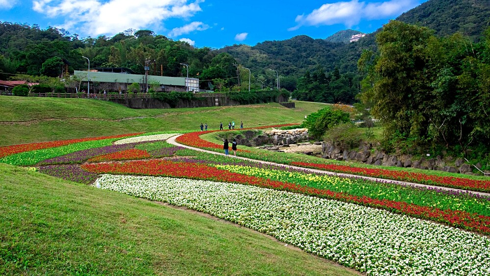 台北秘境花海正熱鬧綻放！內湖420坪繽紛花草成踏青首選地，交通還超方便