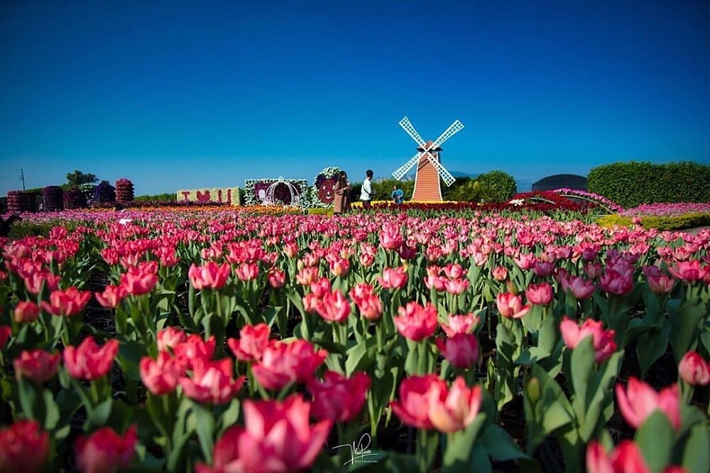 Photo／taichungtravels IG @mico_pikachuuuu 