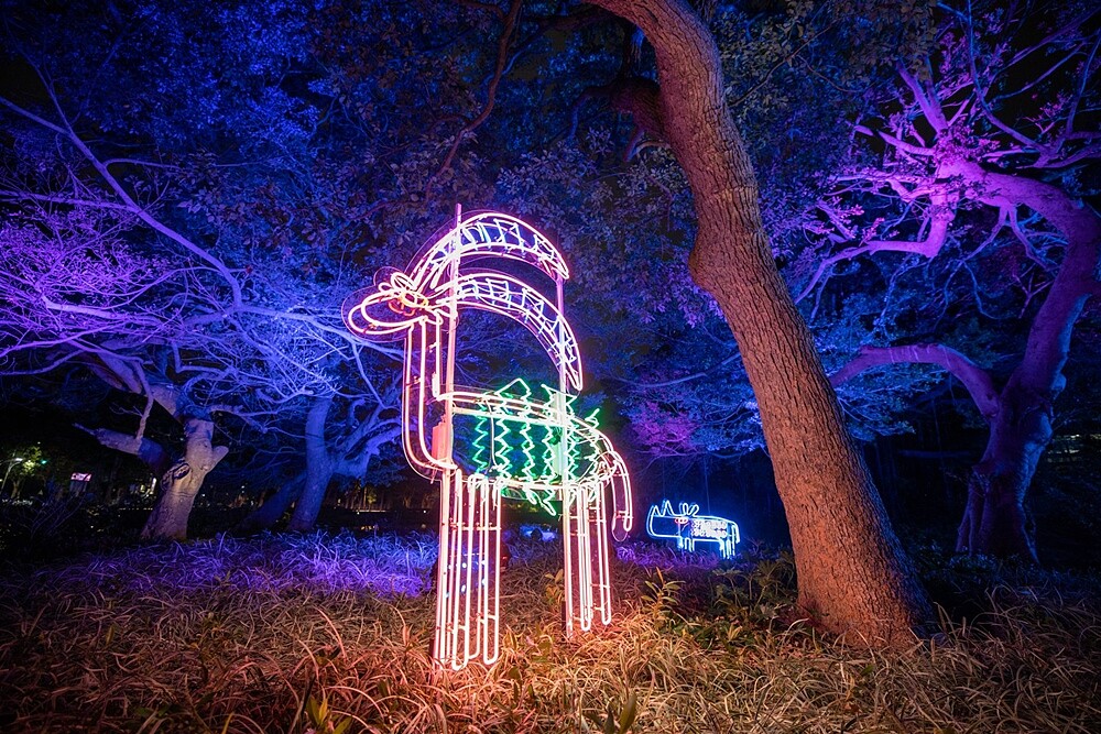 《鳶尾花動物園》