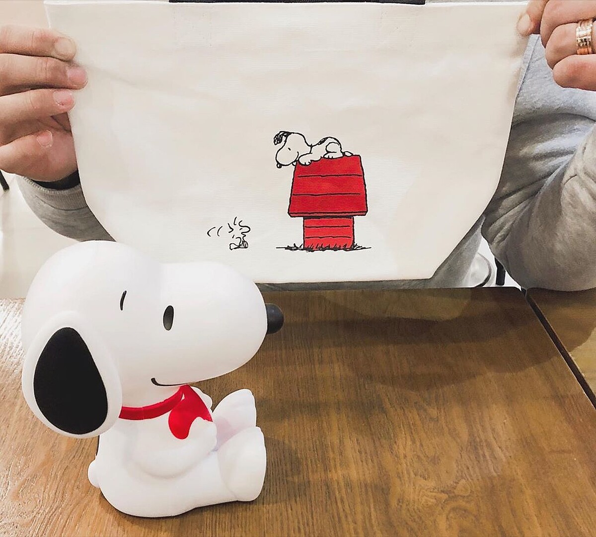 Photo/IG@beagle_bamtol