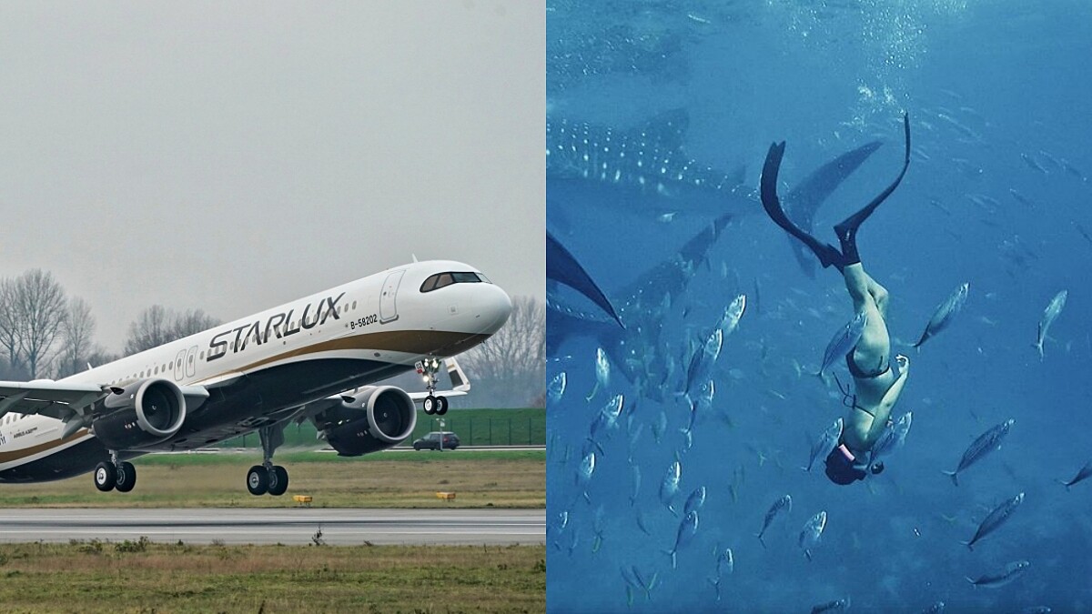 星宇航空航點再+1!4月起每天飛菲律賓宿霧,今年就來一趟海島假期吧