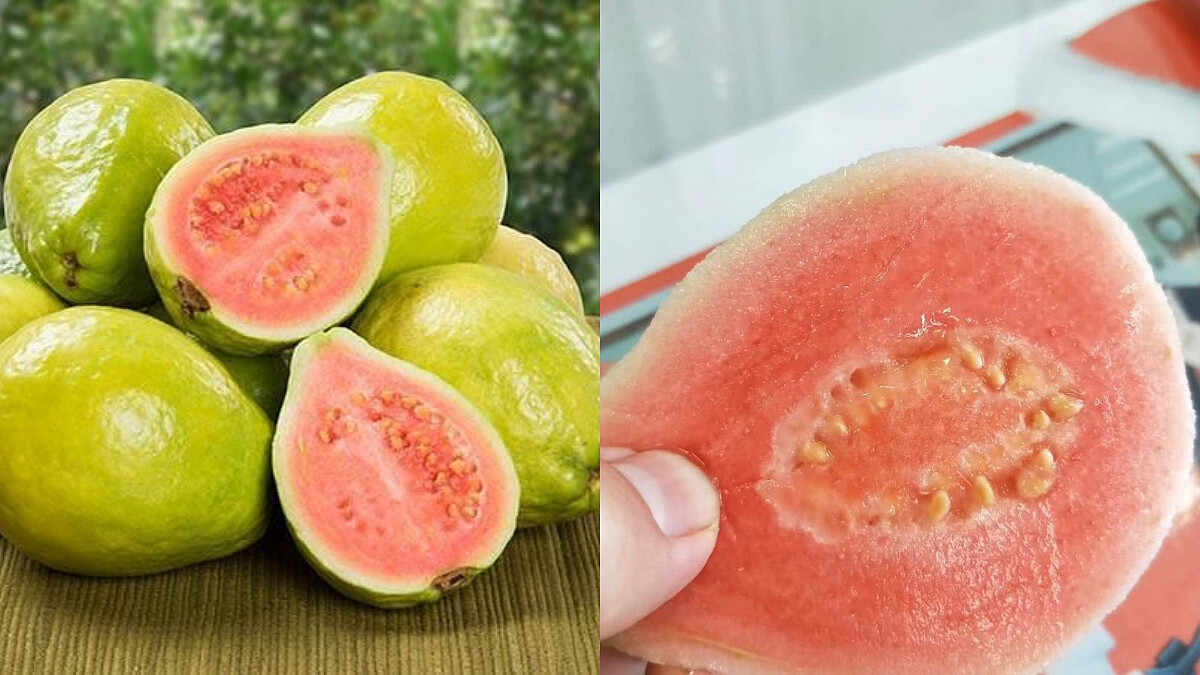 減肥期間教妳怎麼吃紅心芭樂 吃對了還會愈吃愈瘦！