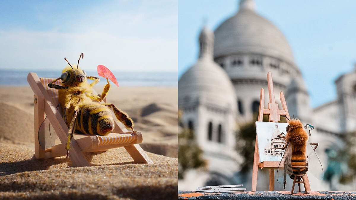 必須要追蹤的IG蜜蜂網紅！除了大曬超萌日常網美照，原來背後任務是為了「拯救日漸消失的蜜蜂」