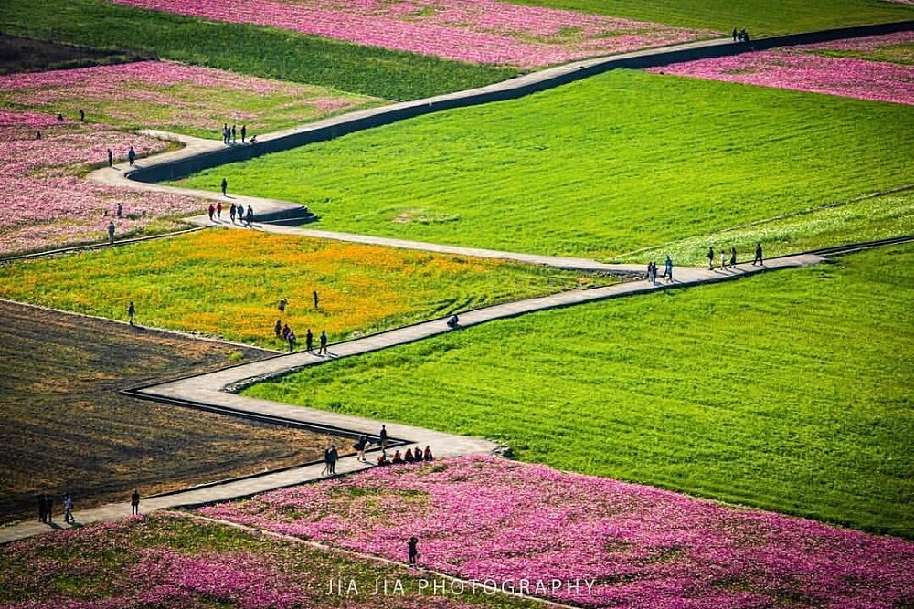 Photo／台中觀光旅遊網／tohse