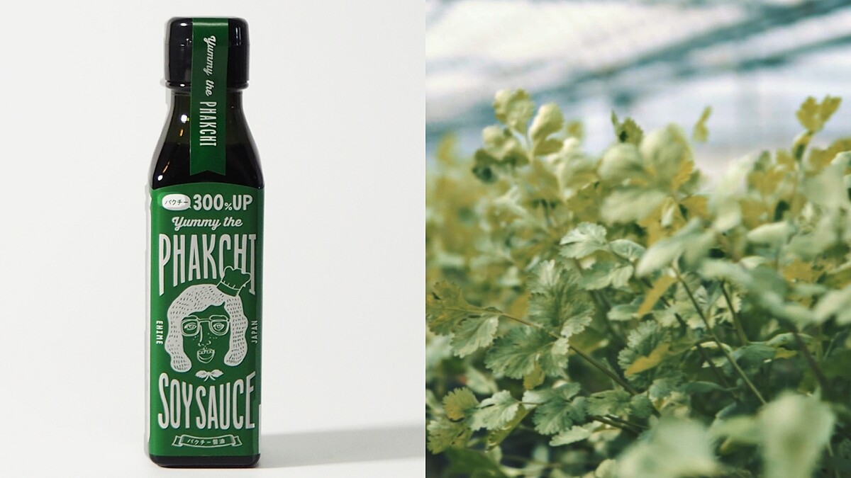 香菜控歡呼！日本老牌推「300% 增量香菜醬油」，濃郁芫荽味久久不散，立刻手刀囤貨吧
