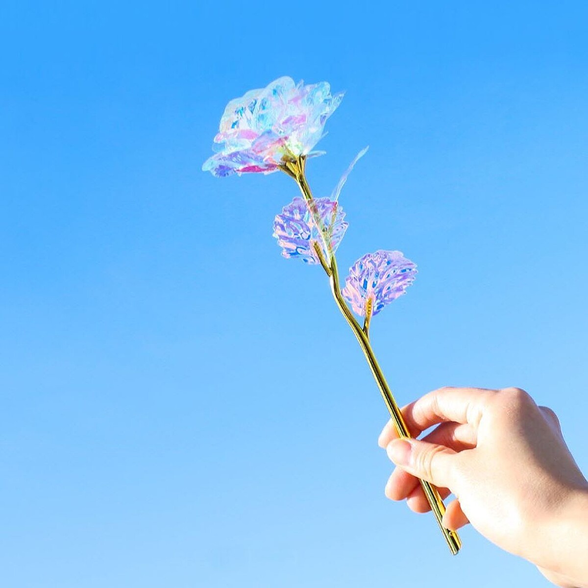 最美情人節花束