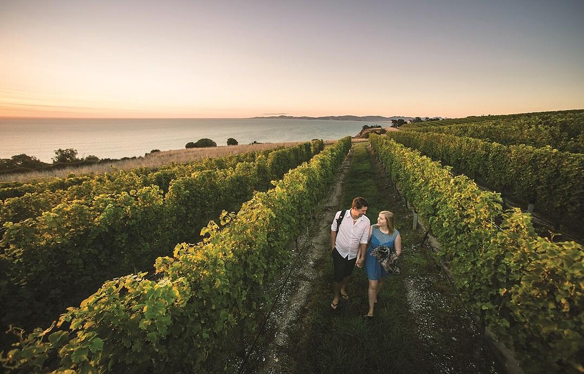 圖片來源：紐西蘭航空