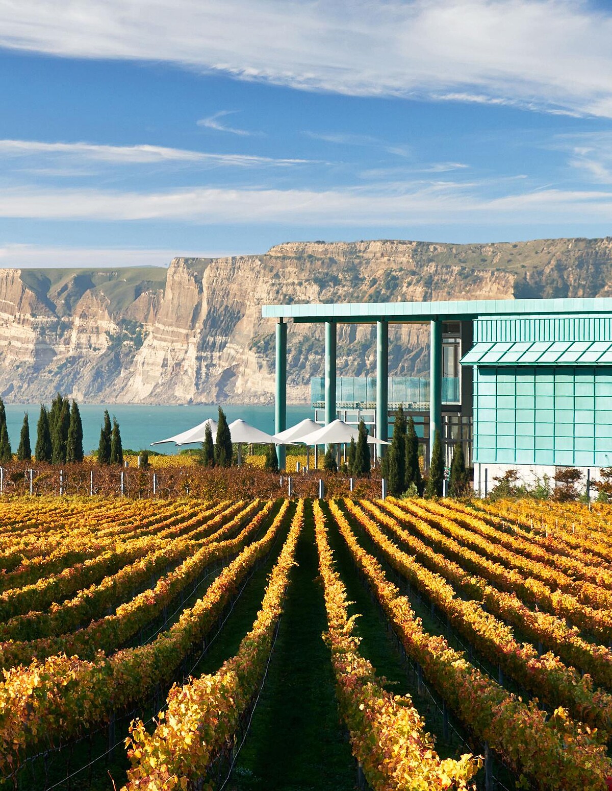 圖片來源：紐西蘭航空