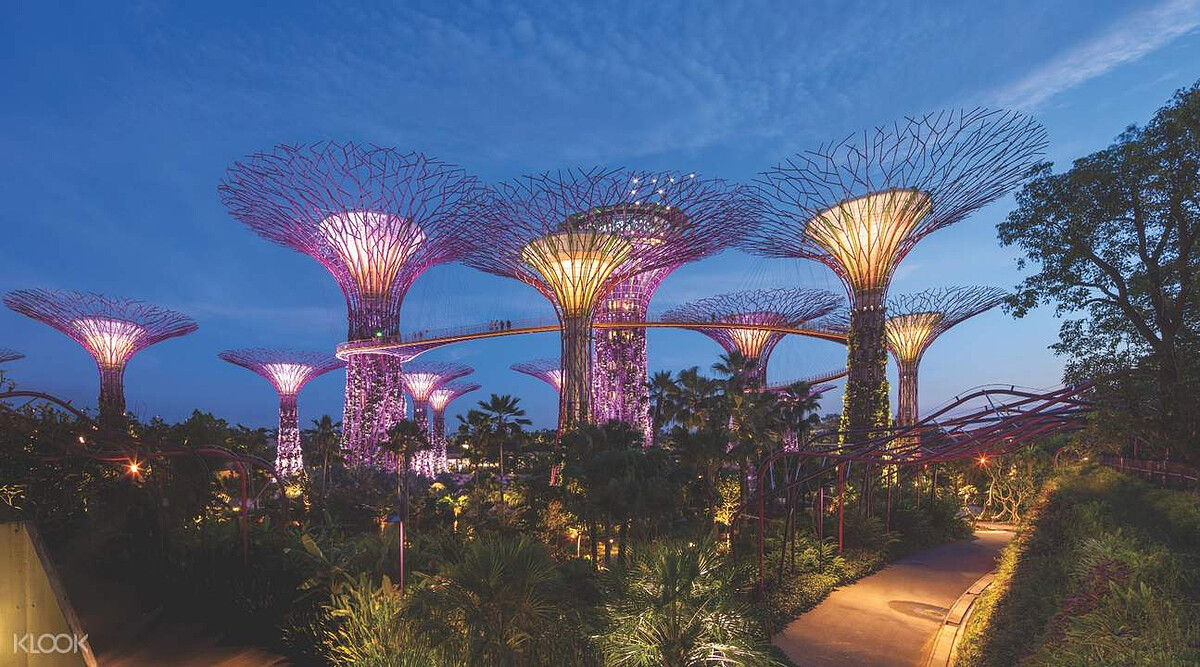 夜幕降臨后的濱海灣花園，絢爛迷人