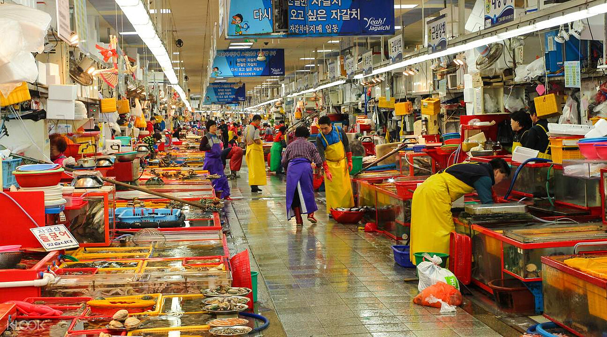 釜山傳統札嘎其海鮮市場
