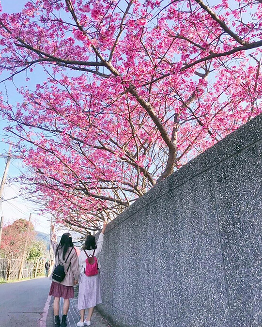 圖片來源：IG @anita60426