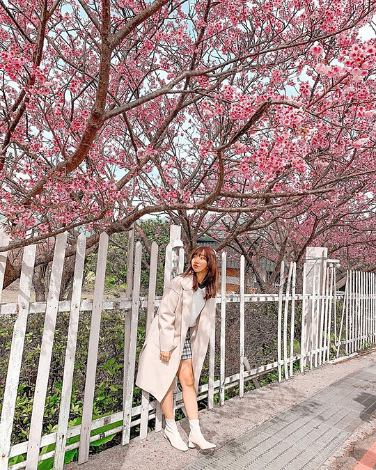 圖片來源：IG @lifetammy945_