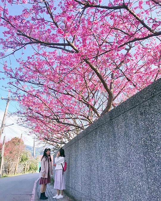 圖片來源：IG @anita60426