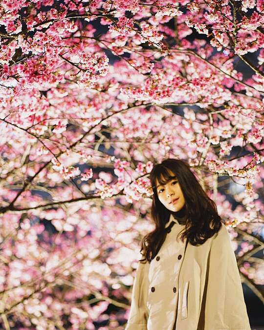 圖片來源：IG @catnip0309