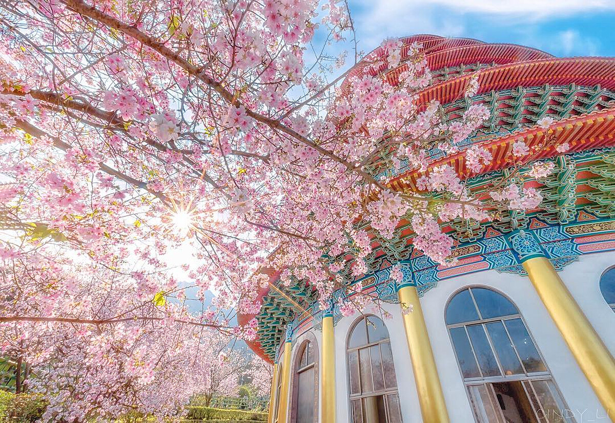 圖片來源：IG @cindy_xu3ejo3