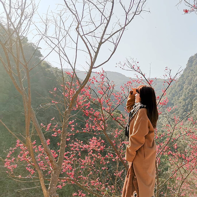 圖片來源：IG @ala__cat