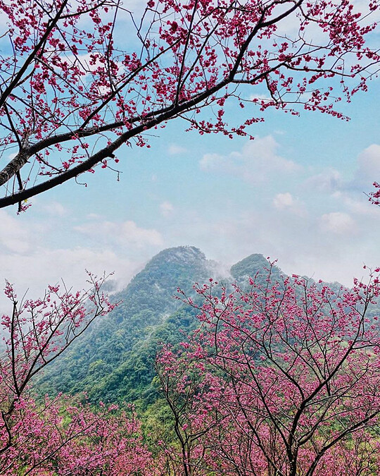 圖片來源：IG @chi_yu777