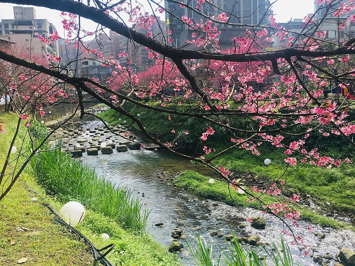 圖片來源：IG @katezhou