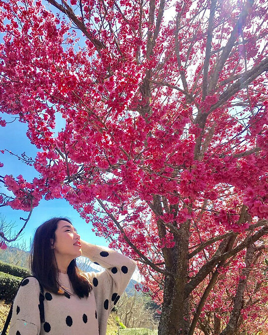 圖片來源：IG @resume5588