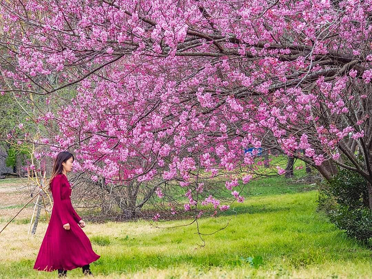 圖片來源：IG @molly888666