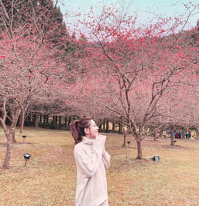 圖片來源：IG @lynn50520