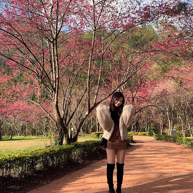 圖片來源：IG @zhizhi4mela