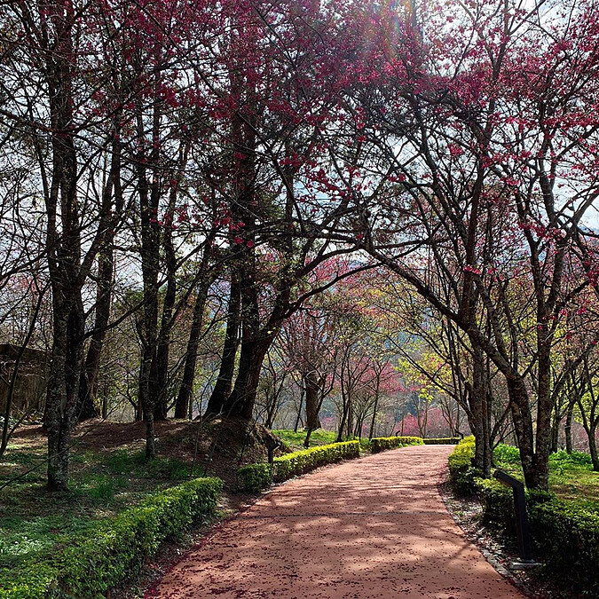 圖片來源：IG @chen_yi_525