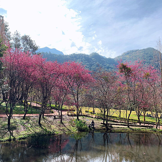 圖片來源：IG @chen_yi_525