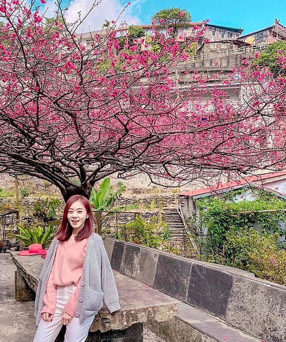 圖片來源：IG @honey82331