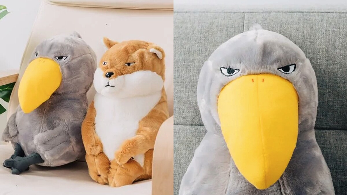 是禮拜一的眼神！「厭世動物抱枕」大嘴鳥、狐狸放空神情＋坐姿，神還原上班族模樣