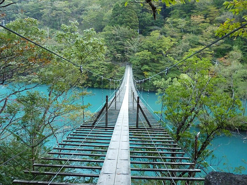 圖片來源：flickr/ RYO SATO