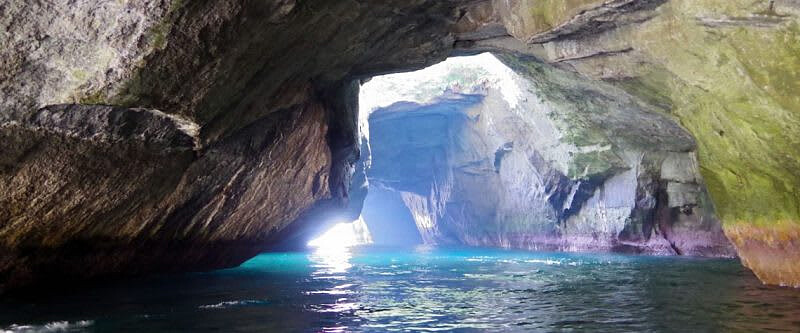 圖片來源：ゆうゆうネット伊豆