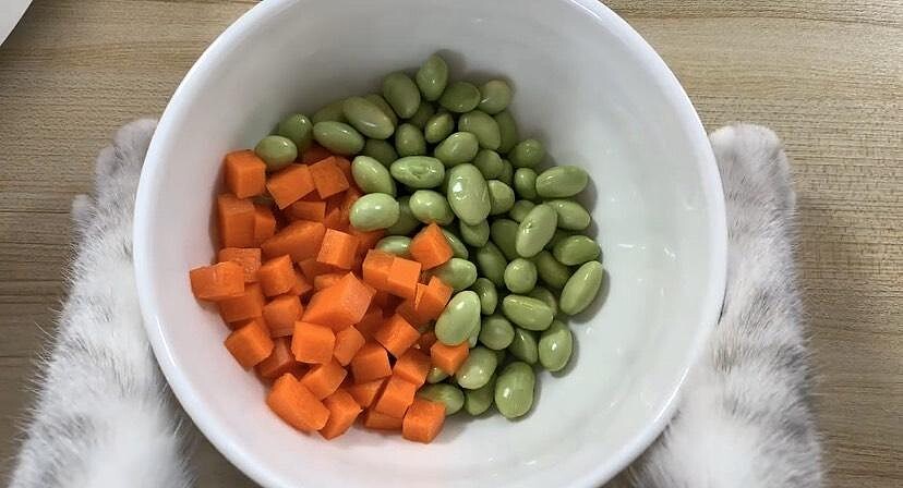 料理貓王@小紅書