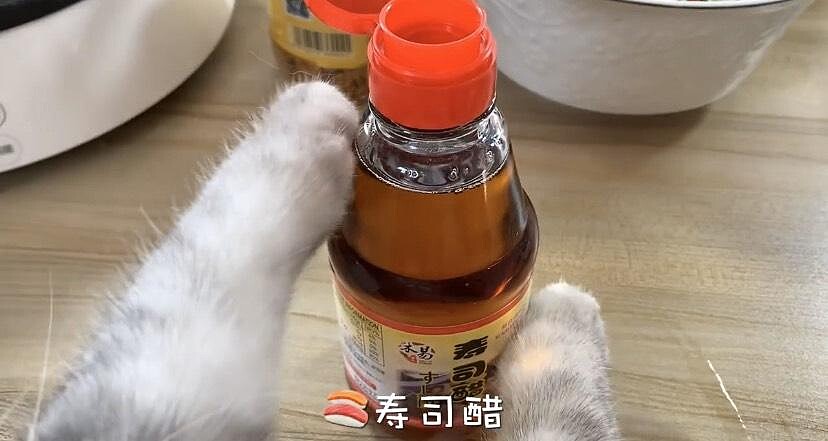 料理貓王@小紅書