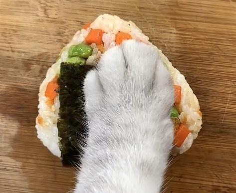 料理貓王@小紅書