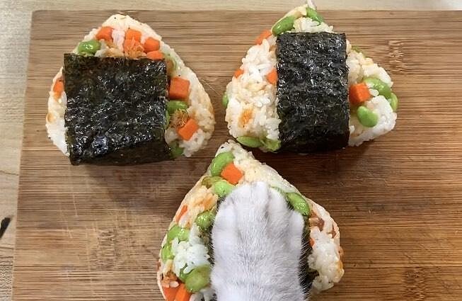 料理貓王@小紅書