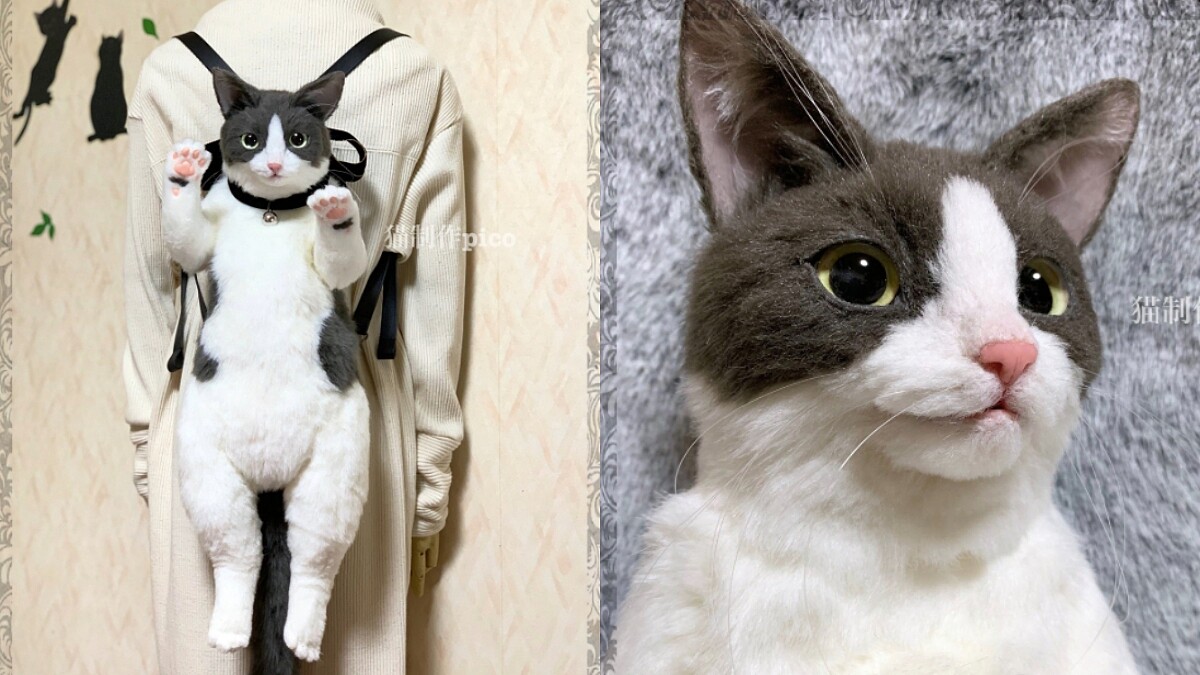 宛如背一隻真貓出門！日本「整隻貓咪後背包」狂洗版推特，肉球、鬍鬚都神還原，逼真度100%