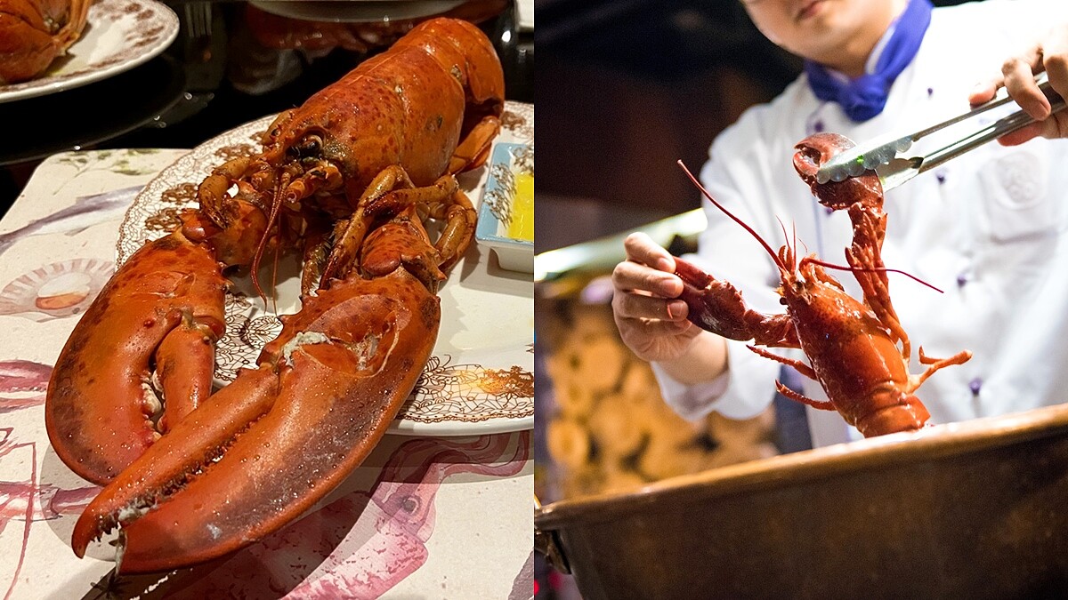 直接打3折！台北君品酒店推「加拿大活龍蝦吃到飽」，飽滿多汁、厚實肉質太美味，老饕必大嗑一回